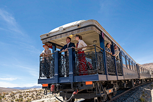Andean Train